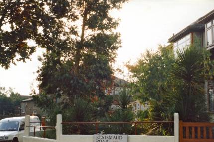 Australian-effect front garden, 1990