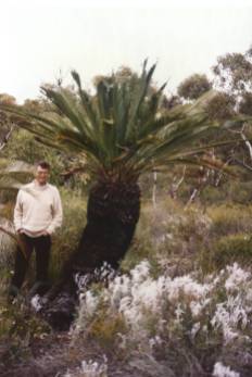 Jeff Poole with mature Macrozamia hughsii, Western Australia